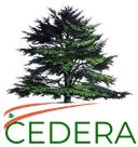 Cedera
