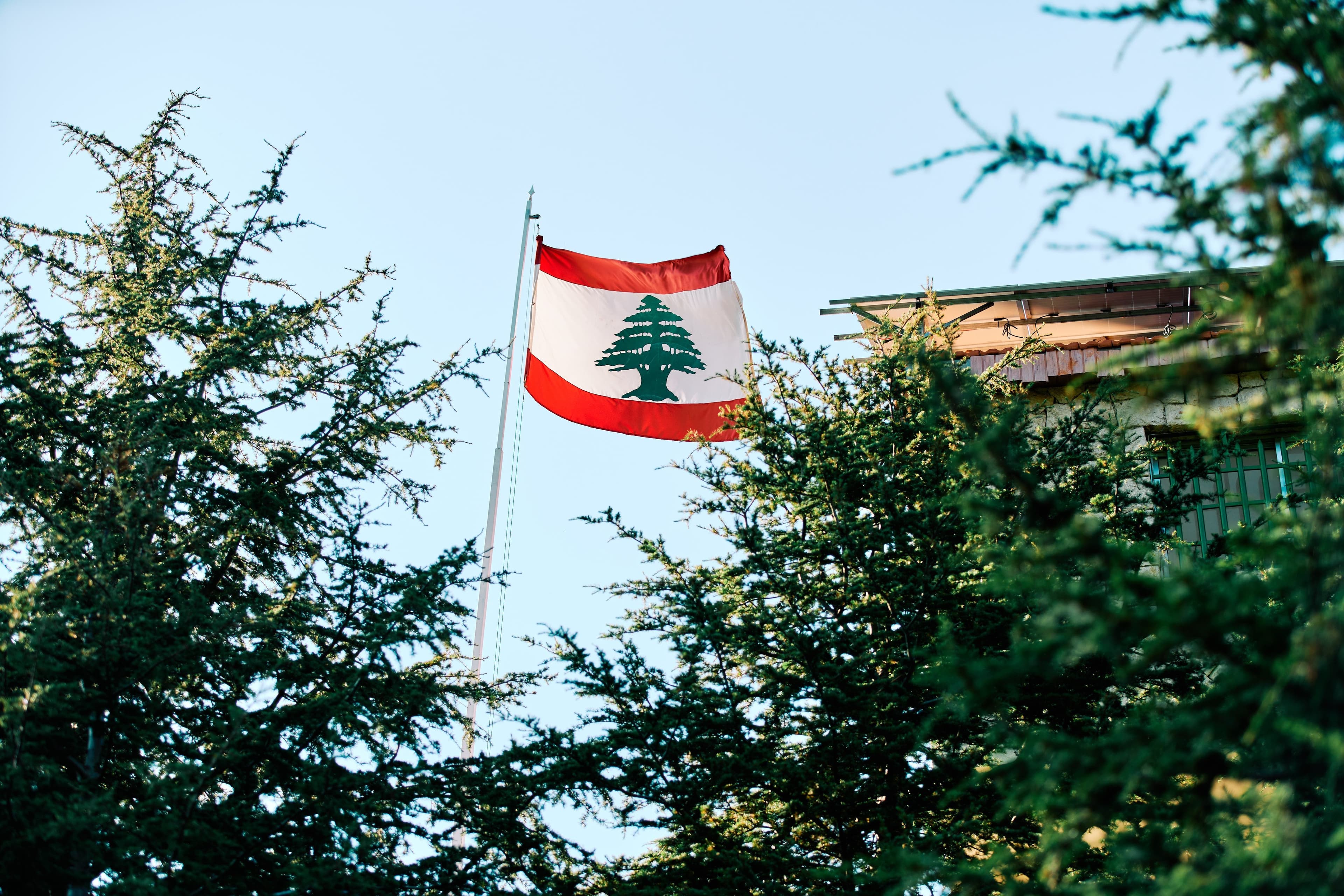 Lebanese flag among cedars